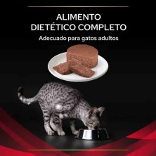 Purina Pro Plan Gatos Diabetes DM Mousse | Envío Gratis Sevilla (62 caracteres)