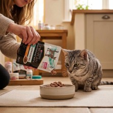 Pro Plan Veterinary Diets Feline EN Gastrointestinal Pollo | Caja 10x85g