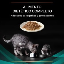 Pro Plan Veterinary Diets Feline EN Gastrointestinal Pollo | Caja 10x85g