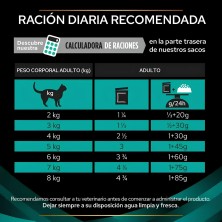 Pro Plan Veterinary Diets Feline EN Gastrointestinal Pollo | Caja 10x85g