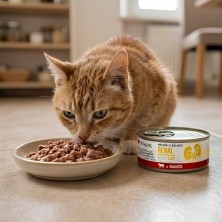 Disugual Metabolic Diet Cat Renal Buey 85g | Latas 1, 3, 6 y 10 uds
