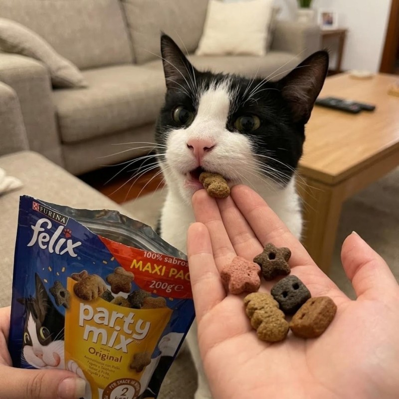Snack para Gatos FELIX Party Mix Original | Envío Sevilla