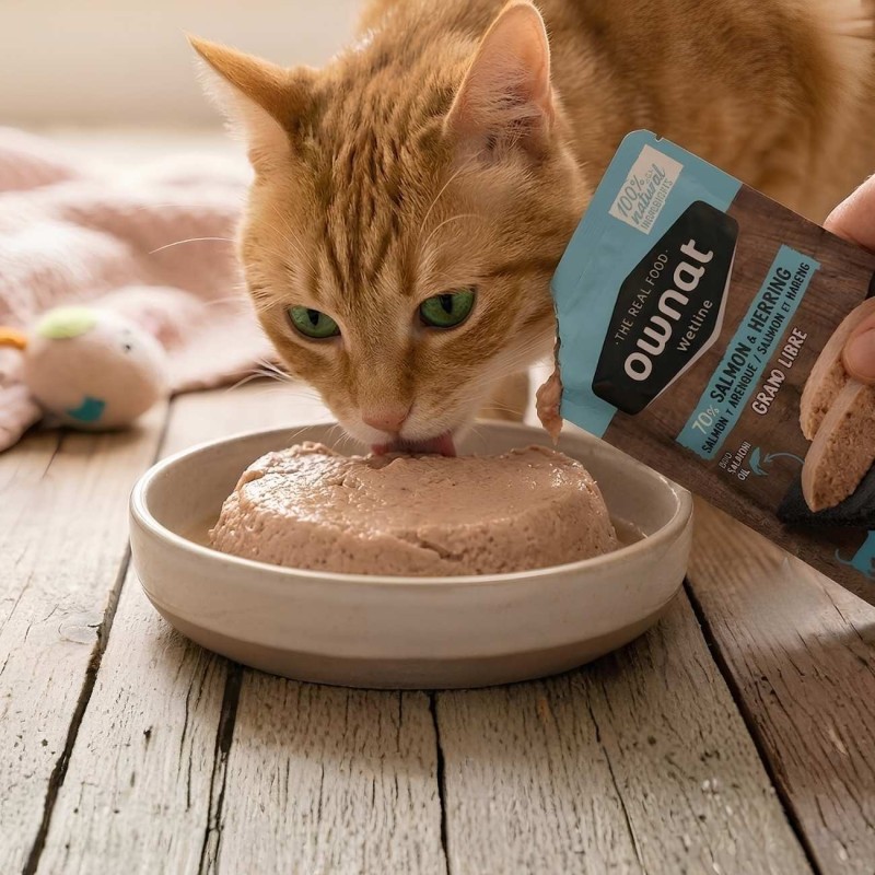 Caja 12x Sobres Ownat Wetline Gato Salmón y Arenque 85g | Sevilla
