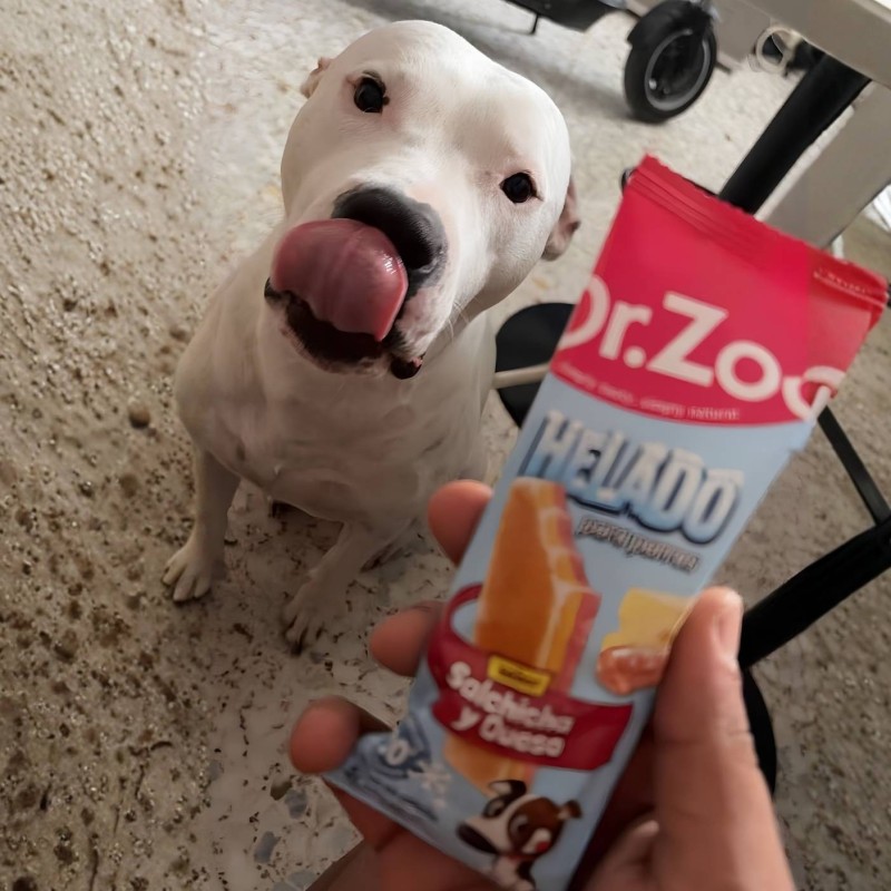 Packs Helado Perros Dr. Zoo 50g | 3, 6, 12, 24 Uds | Sabores | Sevilla