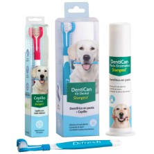 Stangest Kit Dental | Cepillo y Pasta para Perros y Gatos ✨