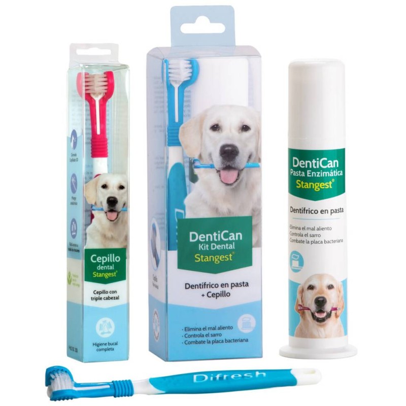 Stangest Kit Dental | Cepillo y Pasta para Perros y Gatos ✨