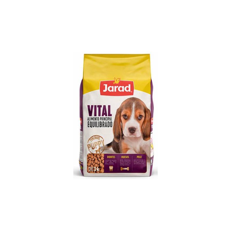 Jarad-Can Puppy Vital