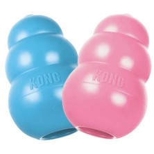 Kong especial cachorro