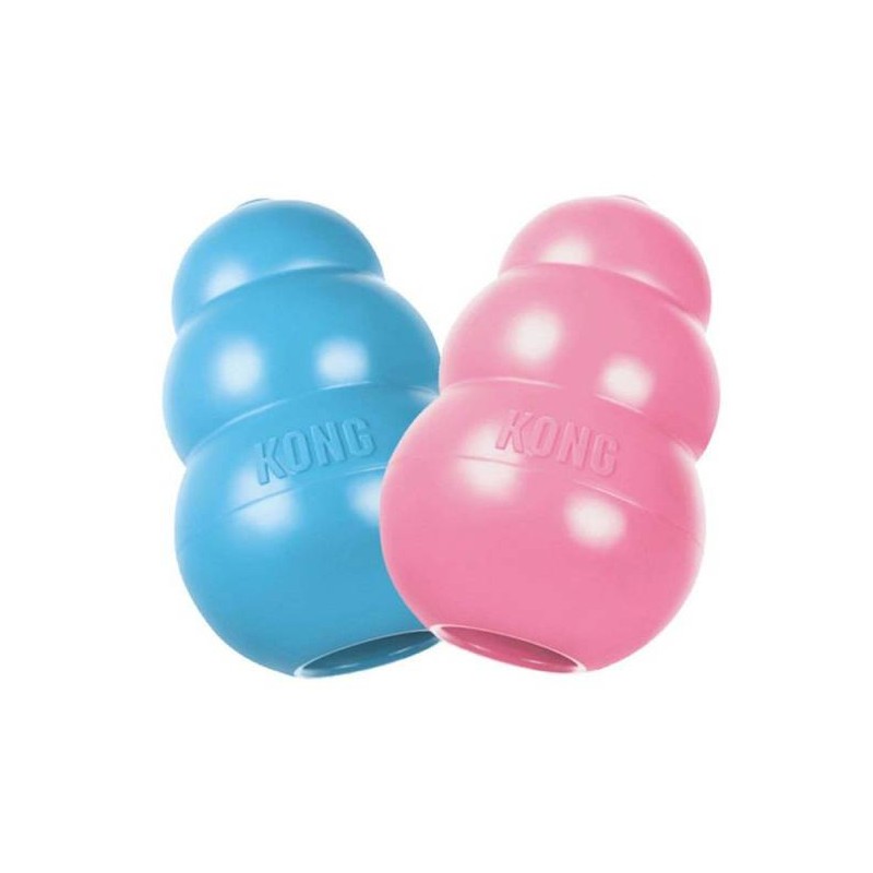 Kong especial cachorro
