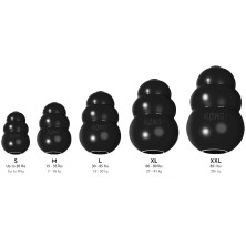 Kong Negro