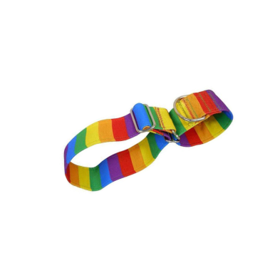 Collar MartinGale Rainbow