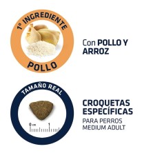 Advance Medium Adult Pollo y Arroz | Pienso Perros Medianos