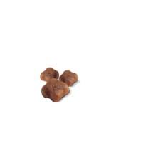 Royal Canin Mother & Babycat – Alimento para Gatas Lactantes y Gatitos de 1 a 4 Meses