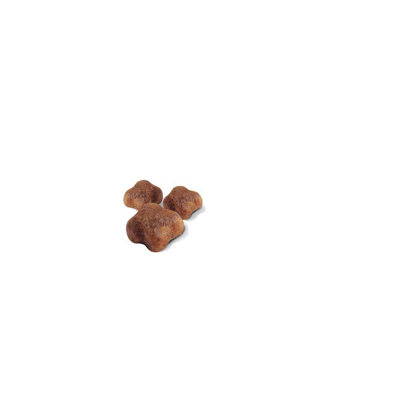 Royal Canin Mother & Babycat – Alimento para Gatas Lactantes y Gatitos de 1 a 4 Meses
