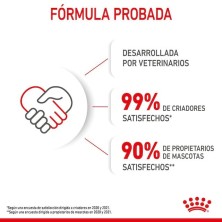 Royal Canin Mother & Babycat – Alimento para Gatas Lactantes y Gatitos de 1 a 4 Meses