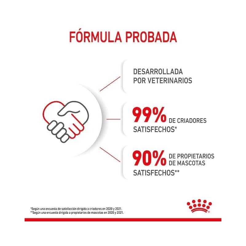 Royal Canin Mother & Babycat – Alimento para Gatas Lactantes y Gatitos de 1 a 4 Meses