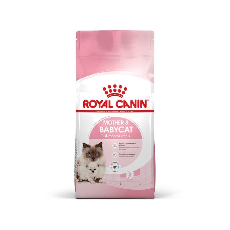 Royal Canin Mother & Babycat – Alimento para Gatas Lactantes y Gatitos de 1 a 4 Meses