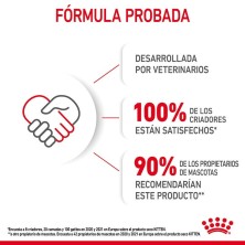 Royal Canin Kitten – Pienso Premium para Gatitos de 4 a 12 Meses