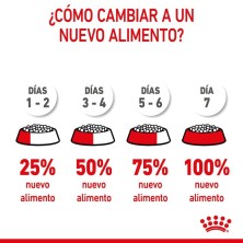 Royal Canin Kitten – Pienso Premium para Gatitos de 4 a 12 Meses