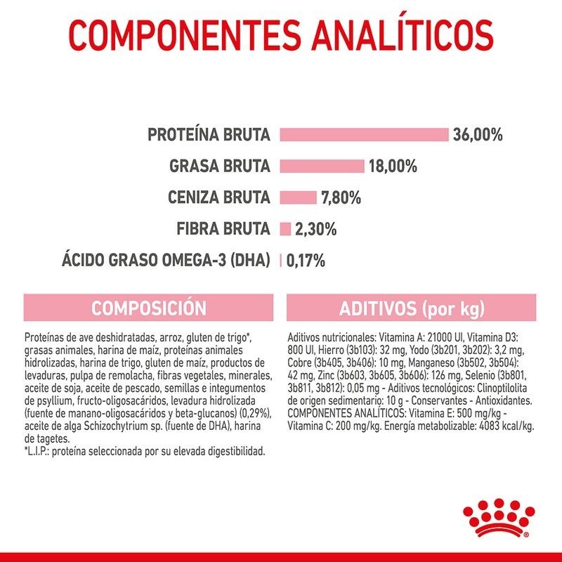 Royal Canin Kitten – Pienso Premium para Gatitos de 4 a 12 Meses
