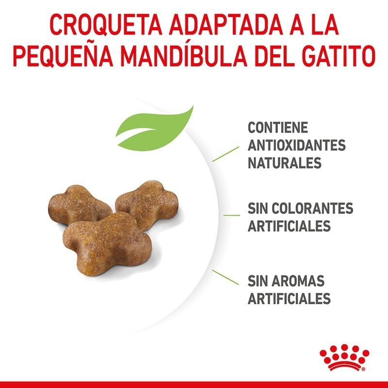 Royal Canin Kitten – Pienso Premium para Gatitos de 4 a 12 Meses
