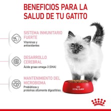 Royal Canin Kitten – Pienso Premium para Gatitos de 4 a 12 Meses