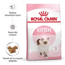 Royal Canin Kitten – Pienso Premium para Gatitos de 4 a 12 Meses