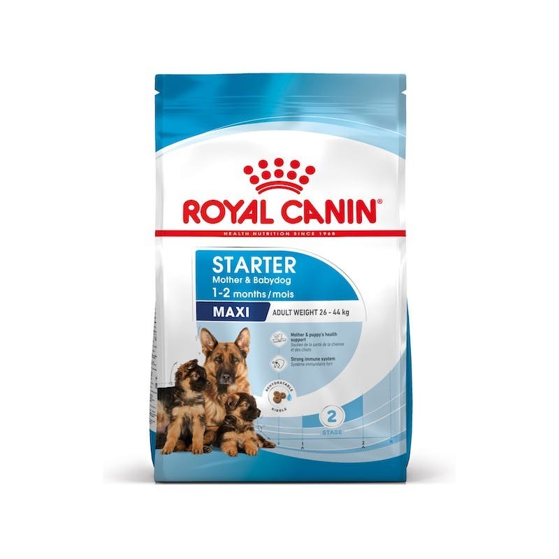 Royal Canin Maxi Starter | Perros Grandes Gestantes y Cachorros - Refuerzo Natural