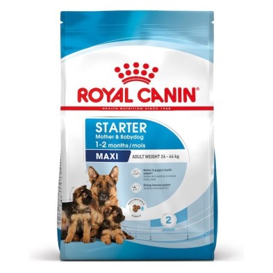 Royal Canin Maxi Starter | Perros Grandes Gestantes y Cachorros - Refuerzo Natural