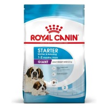 Royal Canin Giant Starter | Pienso para Cachorros y Madres de Razas Gigantes - Inicio Saludable