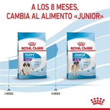 Royal Canin Giant Puppy | Cachorros de Razas Gigantes - Crecimiento Óseo y Digestión