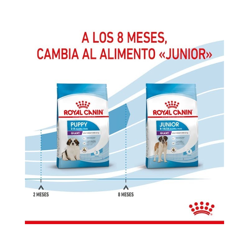 Royal Canin Giant Puppy | Cachorros de Razas Gigantes - Crecimiento Óseo y Digestión