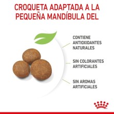 Royal Canin Giant Puppy | Cachorros de Razas Gigantes - Crecimiento Óseo y Digestión