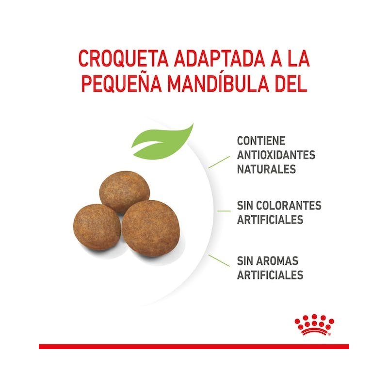 Royal Canin Giant Puppy | Cachorros de Razas Gigantes - Crecimiento Óseo y Digestión