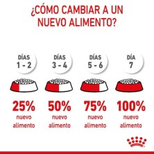 Royal Canin Medium Starter – Pienso para perras gestantes y lactantes medianas