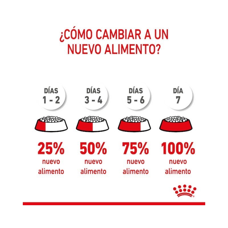 Royal Canin Medium Starter – Pienso para perras gestantes y lactantes medianas