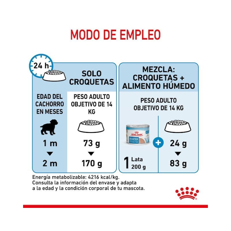 Royal Canin Medium Starter – Pienso para perras gestantes y lactantes medianas