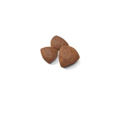 Royal Canin Medium Starter – Pienso para perras gestantes y lactantes medianas