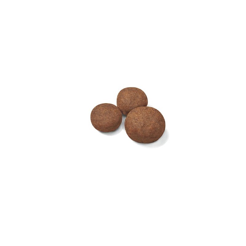 Royal Canin Medium Puppy – Alimento completo para cachorros medianos