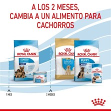Royal Canin Maxi Starter | Perros Grandes Gestantes y Cachorros - Refuerzo Natural