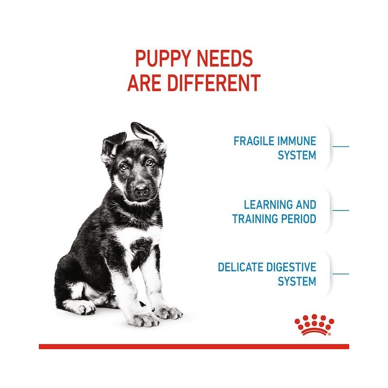 Royal Canin Maxi Puppy