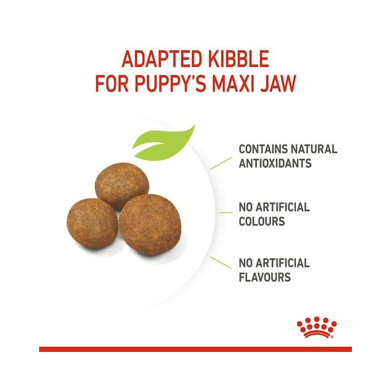 Royal Canin Maxi Puppy