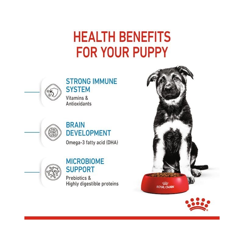 Royal Canin Maxi Puppy