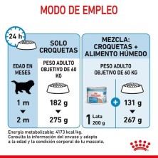 Royal Canin Giant Starter | Pienso para Cachorros y Madres de Razas Gigantes - Inicio Saludable
