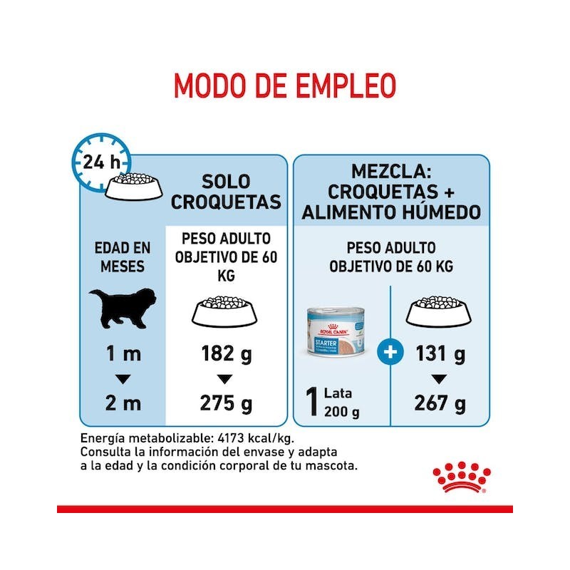 Royal Canin Giant Starter | Pienso para Cachorros y Madres de Razas Gigantes - Inicio Saludable