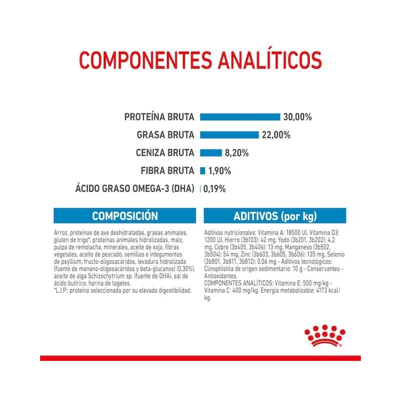 Royal Canin Giant Starter | Pienso para Cachorros y Madres de Razas Gigantes - Inicio Saludable