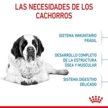 Royal Canin Giant Junior | Cachorros Gigantes 8–24 Meses - Desarrollo Muscular y Articular