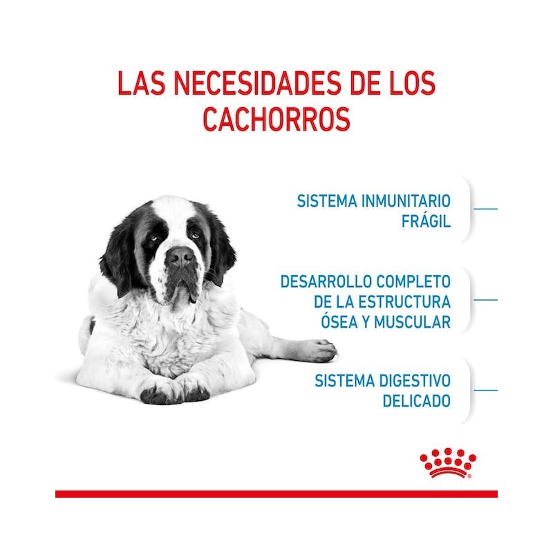 Royal Canin Giant Junior | Cachorros Gigantes 8–24 Meses - Desarrollo Muscular y Articular
