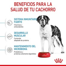 Royal Canin Giant Junior | Cachorros Gigantes 8–24 Meses - Desarrollo Muscular y Articular
