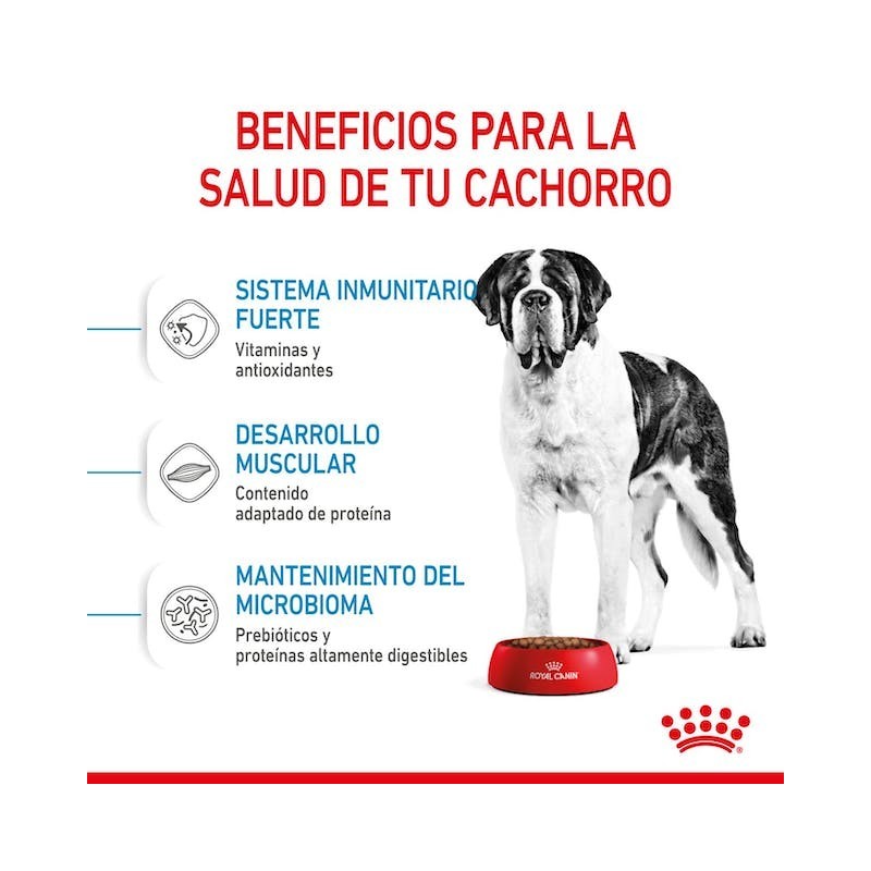 Royal Canin Giant Junior | Cachorros Gigantes 8–24 Meses - Desarrollo Muscular y Articular